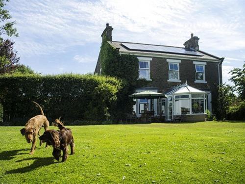 Dowfold House Bed And Breakfast Crook  ภายนอก รูปภาพ